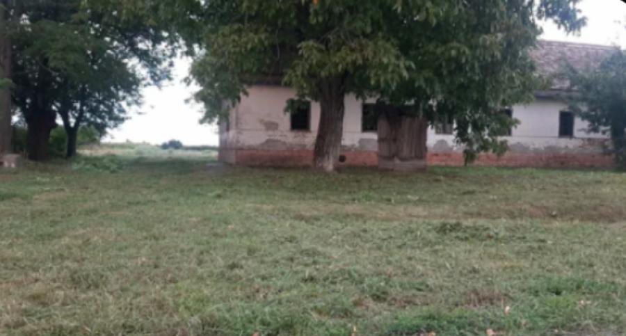 ZARAĐUJE OGROMAN NOVAC, A KUĆA MU JE STARA 180 GODINA! Nekretnina našeg popularnog pevača potpuno oronula (FOTO)