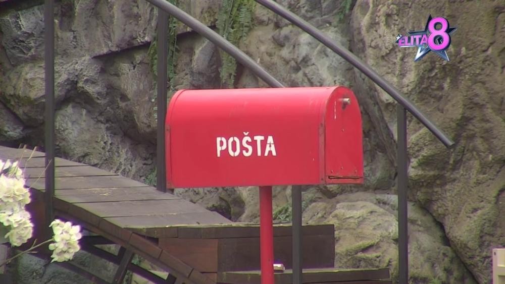 POČINJE POSLEDNJA RADIO EMISIJA U ELITI 8: Pratite uživo na Pinku kakav su vam iznenađanje danas spremili (VIDEO)