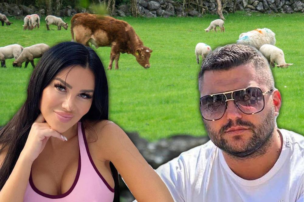 A OD VERENIKA 100 KRAVA I 1.000 OVACA?! Stanija Dobrojević dobila od Asmina krdo stoke i fabriku za preradu mesa! ČOBANČICA