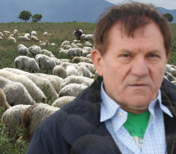 POREKLO MILOŠA BOJANIĆA: Bio sam seljačko dete, čuvao ovce, svirao frulu, znam kako narod diše