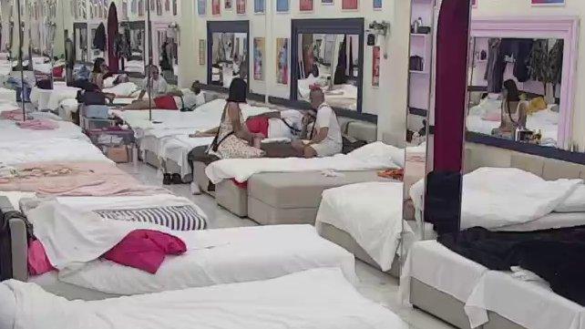 Neko uspeo da ga iznervira: Alibaba besan kao ris, neće da čuje za druženje s Minom i Dačom! (VIDEO)