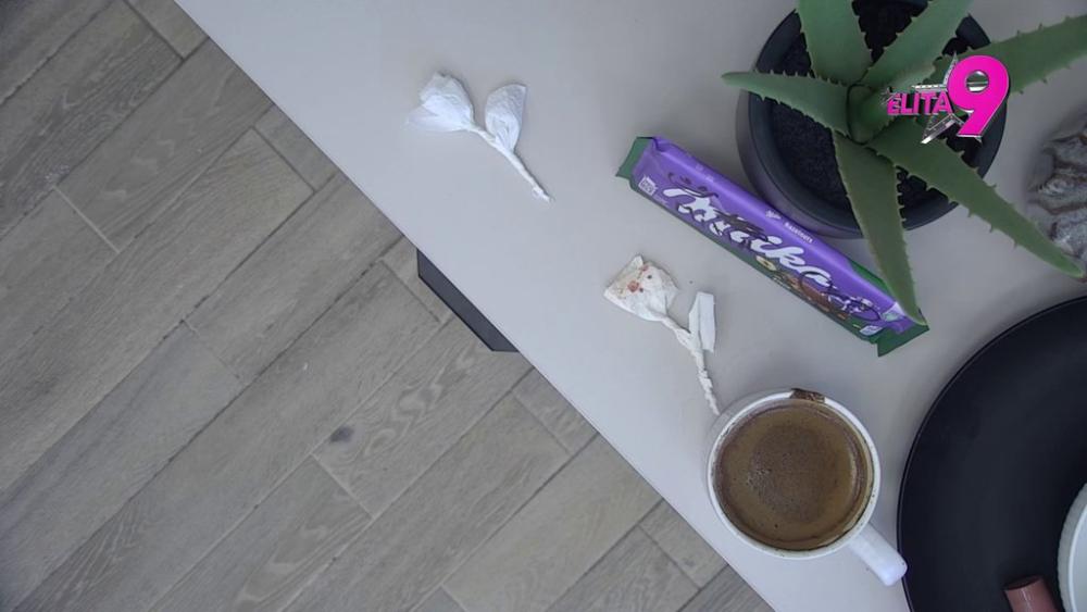 NA SVE NAČINE POKUŠAVA DA JE OSVOJI: Terza juri oko Mine, daje sve od sebe da joj pruži pažnju, a ovaj gest je šokirao sve (VIDEO)