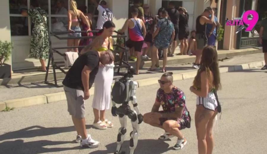 PRIKUPLJENE KLJUČNE INFORMACIJE O ODNOSU MINE I TERZE: Vrbaški mu pomutila razum, tek sledi haos!