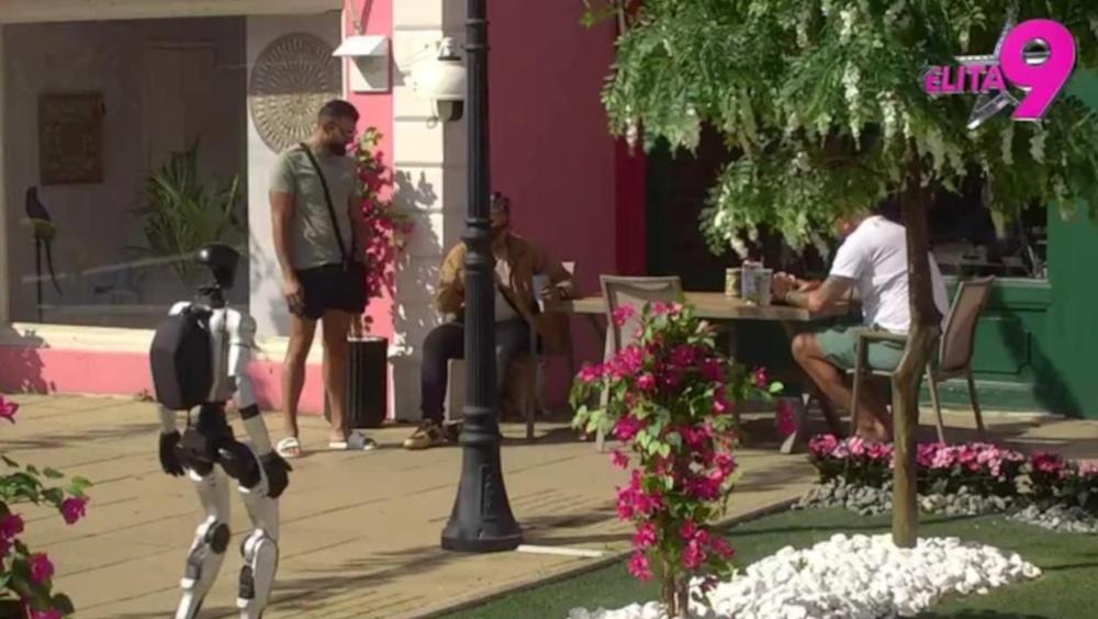 Urnebesna svađa - Janjuš isprozivao robota Tošu, on ga ponizio kao niko nikad: "Beži bre, kanto jedna" (VIDEO)