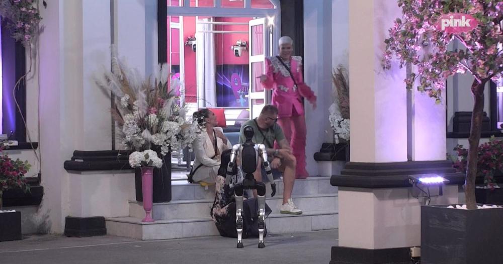 "Nisu mi za džabe dali 400.000 evra": Janjuš odmah otkrio šokantnu cifru koju će zaraditi u Eliti 9