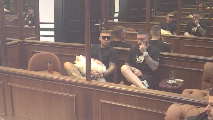 ANĐELA NA APARATIMA: Snupi skočio kod Karića u krilo, ne odvaja se od njega (VIDEO)