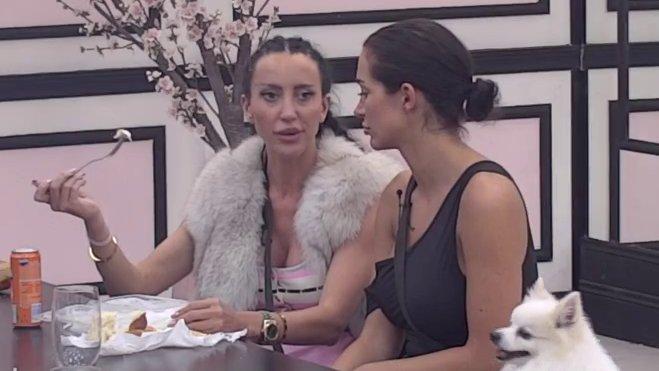 Ne zna šta priča... Laura misli da je Car samo KANALI, Poršelina ga urnisala: Iskompleksirao bi se da si...(VIDEO)