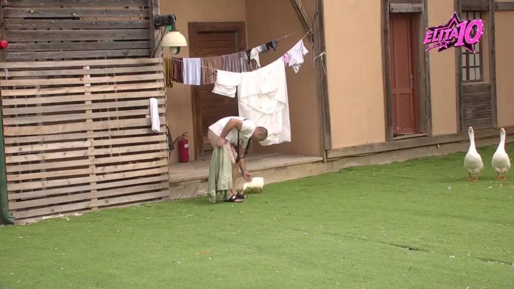 Pronašao društvo za sebe: Milan ima novu razonodu, rešio da proćaska sa patkama i ponijem dok prostire veš ! (VIDEO)
