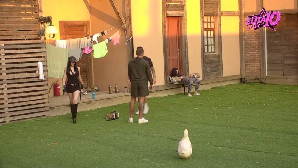 Rešile da šarmiraju starije momke: Kristina i Milica se bacile na Mateju i Karića, sve rade da dođu do njihove pažnje! (VIDEO)