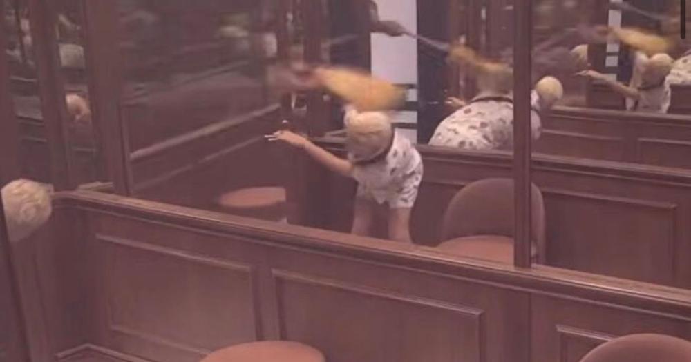 Janjuš udario Uroša metlom po glavi, nastao haos u Beloj kući