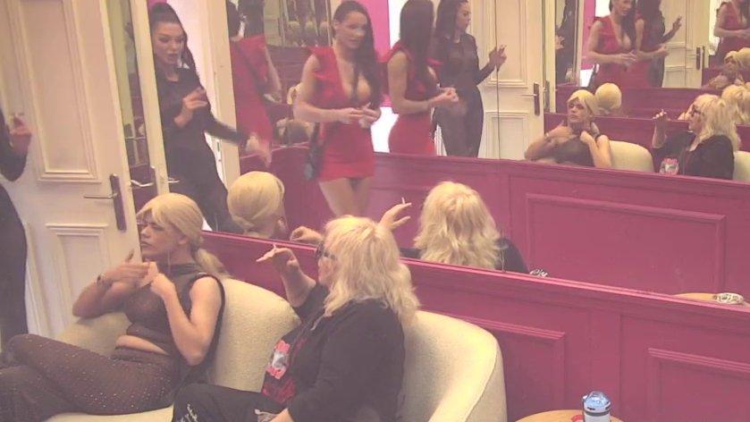 Ne može očima da je gleda! Zorica dočekala da Ivi vidi leđa, nazvala je PROSTITUTKOM, Uroš joj preneo šta je pričala: Rekla je da će... (VIDEO)
