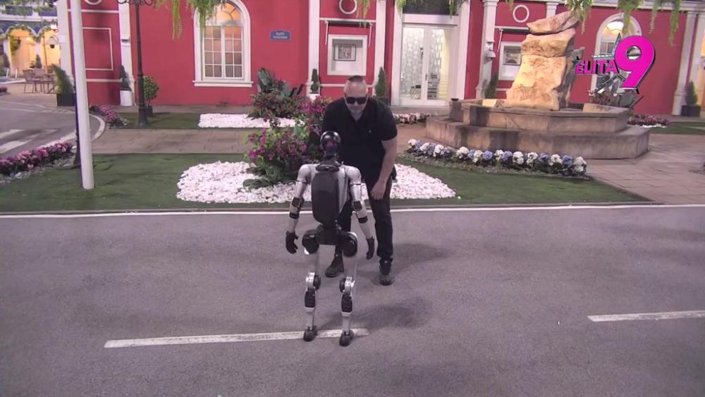 VEČERAS PUNI AKVARIJUM! Sale Luks dogovorio sa Tošom sve detalje o afteru koji sledi (VIDEO)