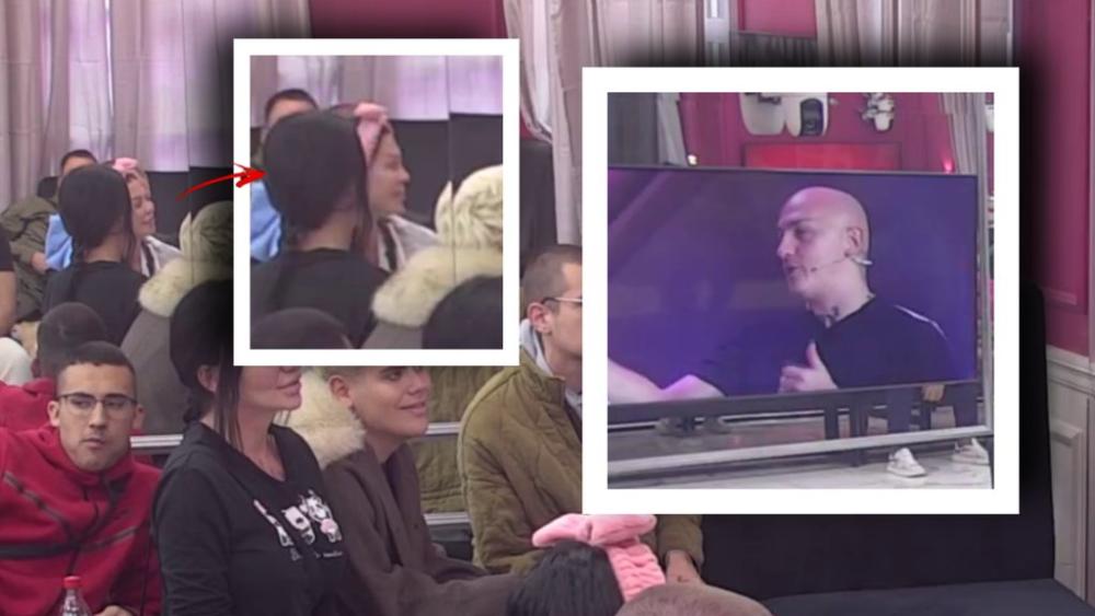 Ne trepće! Učesnici Elite 9 gledaju Pinkove zvezde, Maja Marinković se prikovala za televizor zbog Desingerice (VIDEO)