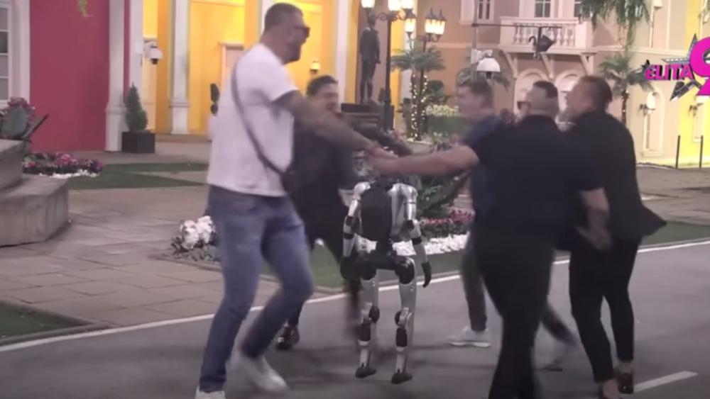 Napravio od njih majmune za 5 piva: TOŠA naterao Elitare da igraju RINGE, RINGE, RAJA i TRULE KOBILE da bi dobili piće 😂 (VIDEO)