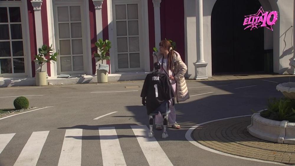 Slikaću ih u kavezu, u kupaćem, sa ponijem.... Miljana smislila tajni zadatak, Toša joj obećao brz odgovor (VIDEO)