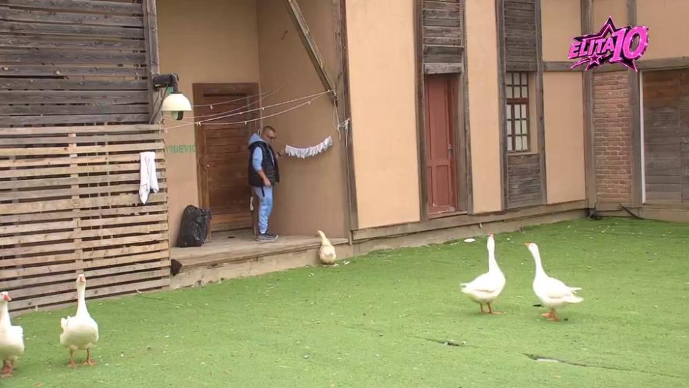 Dača izvukao deblji kraj: Guske ga jurile po dvorištu, pa mu se okomile na patike! (VIDEO)