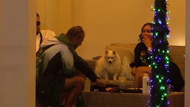 Nije mogla da prećuti! Janjuš zapevao, Sandra mu odmah odbrusila (VIDEO)